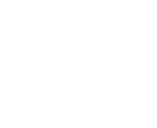 専門家の育成